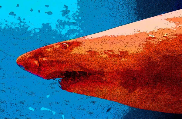 Sea Fish Sign Illustration Pop Art Background Icon Color Spots — ストック写真