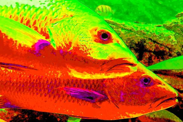 Fishes Sign Illustration Pop Art Background Icon Color Spots — Zdjęcie stockowe