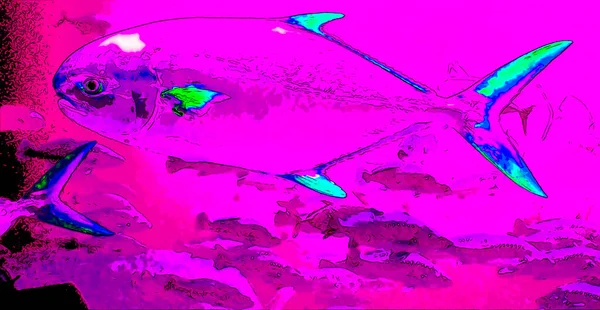 Fishes Sign Illustration Pop Art Background Icon Color Spots — Fotografia de Stock