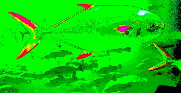 Fishes Sign Illustration Pop Art Background Icon Color Spots — Stock Fotó