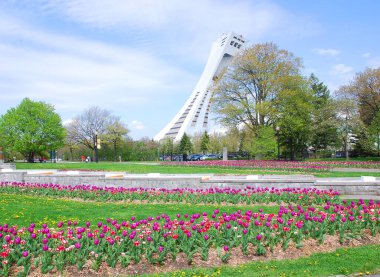 Şehir parkının güzel manzarası