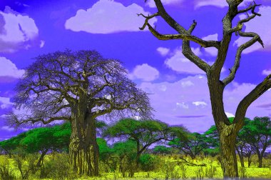Baobab, Boaboa, şişe ağacı, ters dönmüş ağaç ve Tarangire Ulusal Parkı, Ruaha, Serengeti, Mikumi, Katavi ve Mkomazi 'den sonra Tanzanya' nın en büyük altıncı milli parkıdır.