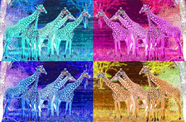 Zürafalar resimli renk lekeli pop-art arkaplan simgesi