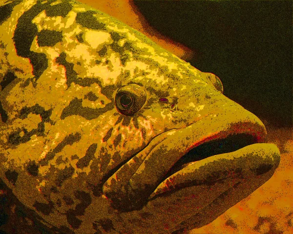 Морський Знак Риби Ілюстрація Поп Арт Значок Фону Кольоровими Плямами — стокове фото