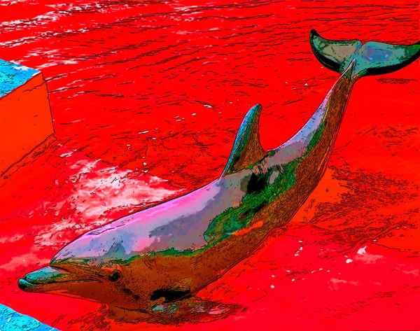 Signo Delfín Ilustración Pop Art Icono Fondo Con Manchas Color — Foto de Stock