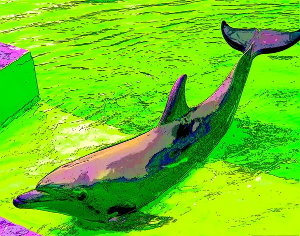 Иллюстрация Знака Дельфина Иконка Поп Арта Цветными Пятнами — стоковое фото