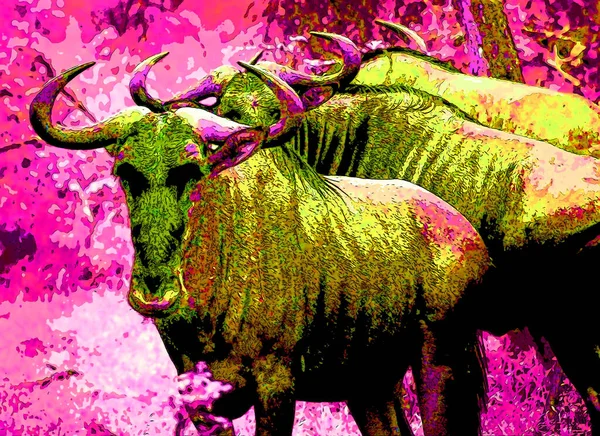 African Bulls Illustration Background Color Spots — Fotografia de Stock