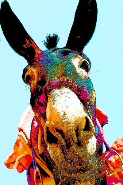 Esel Mit Farbenfrohem Traditionellem Geschirr Petra Jordanien Transportierte Früher Touristen — Stockfoto