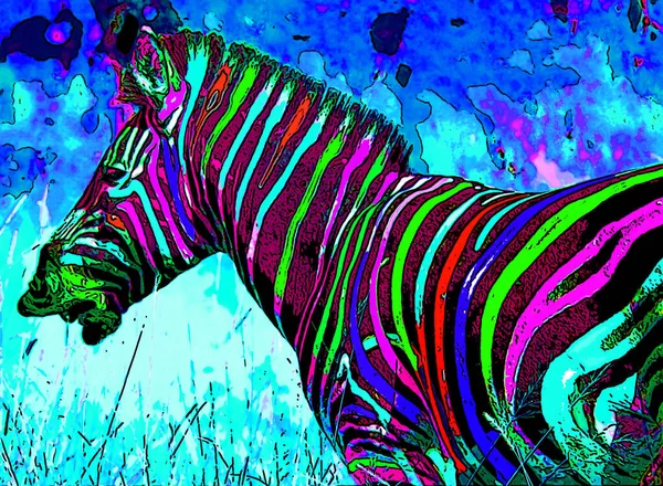 Zebra Sign Illustration Pop Art Background Icon Color Spots — Fotografia de Stock
