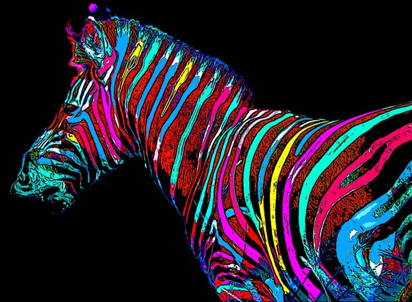 Zebra Sign Illustration Pop Art Background Icon Color Spots — Stockfoto