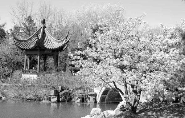Montreal Canada 2010 Китайський Сад Ботанічного Саду Монреаля Вважається Одним — стокове фото