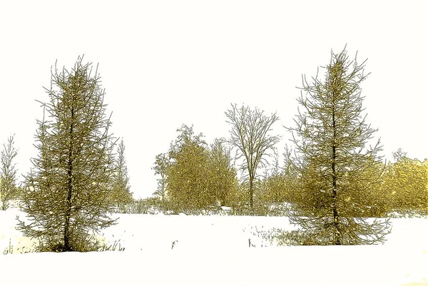 Зимовий Пейзаж Східне Місто Брумонт Квебек Канада Знак Ілюстрація Поп — стокове фото