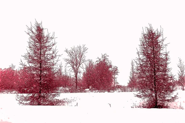 Winter Landscape Bromont Eastern Township Quebec Canada Sign Illustration Pop — Foto de Stock