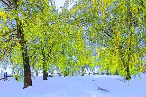Winter Landscape Bromont Eastern Township Quebec Canada Sign Illustration Pop — Stock Photo, Image