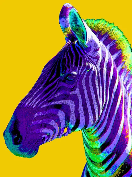 Zebra Teken Illustratie Pop Art Achtergrond Pictogram Met Kleurvlekken — Stockfoto