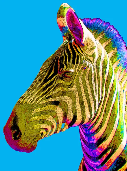 Zebras Sinal Ilustração Pop Art Ícone Fundo Com Manchas Cor — Fotografia de Stock