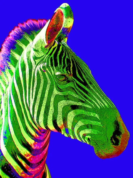 Zebras Sinal Ilustração Pop Art Ícone Fundo Com Manchas Cor — Fotografia de Stock