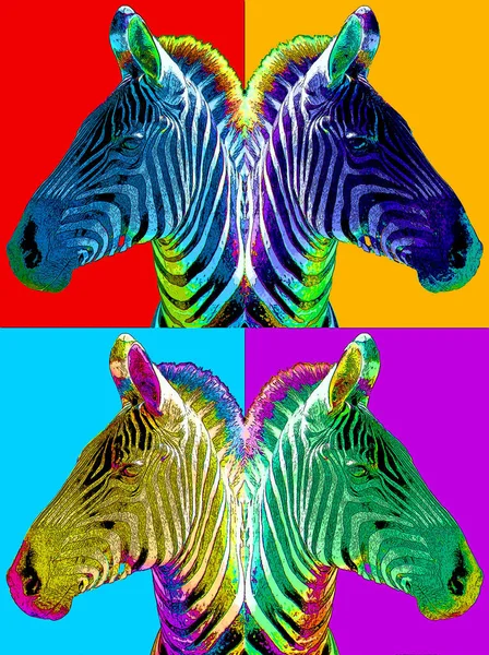 Cebras Signo Ilustración Pop Art Icono Fondo Con Manchas Color —  Fotos de Stock