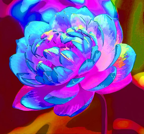 Лотос Цветок Знак Иллюстрации Иконка Фона Ярким Цветом — стоковое фото