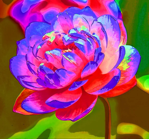 Лотос Цветок Знак Иллюстрации Иконка Фона Ярким Цветом — стоковое фото