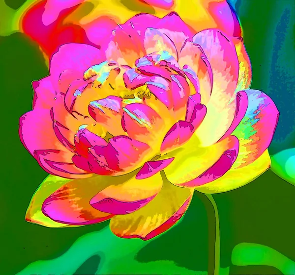 Lotus Fleur Signe Illustration Arrière Plan Icône Avec Une Couleur — Photo