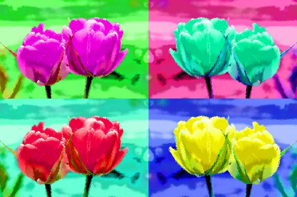 Laleler Tulipa Cinsinde Gösterişli Çiçekleri Olan 109 Türüne Kadar Olan — Stok fotoğraf