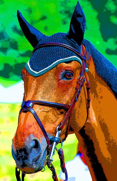 Nice Horse Head Close Sign Illustration Pop Art Background Icon — Fotografia de Stock