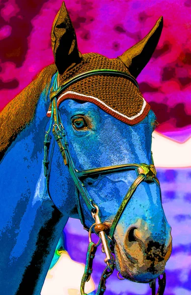 Nice Horse Head Close Sign Illustration Pop Art Background Icon — Photo