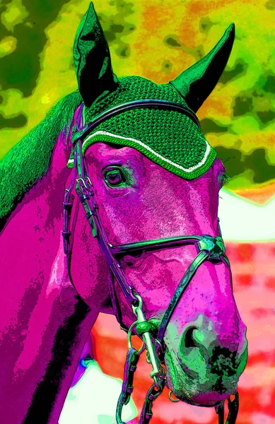 Nice Horse Head Close Sign Illustration Pop Art Background Icon — Photo