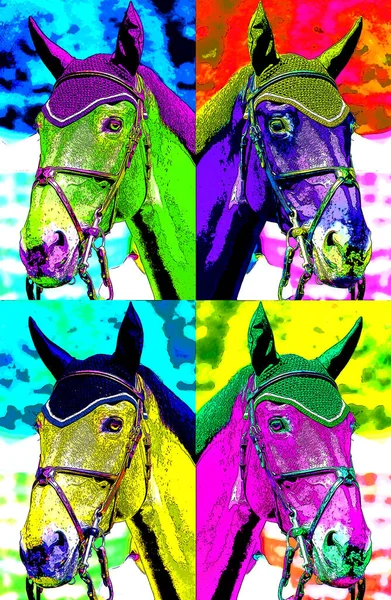 Nice Horse Head Close Sign Illustration Pop Art Background Icon — 스톡 사진