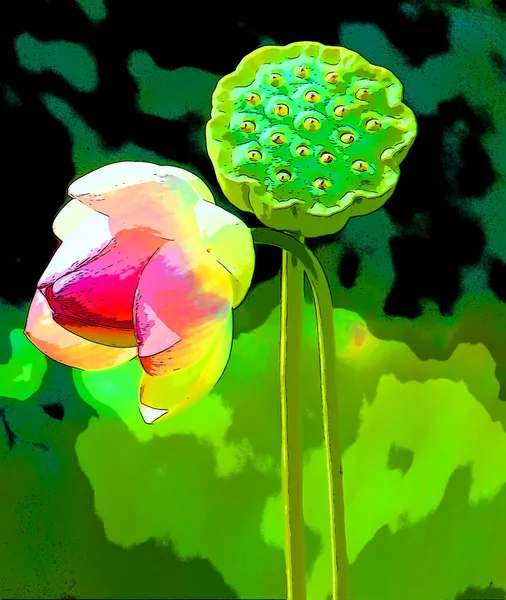 Lotos Kwiat Znak Ilustracja Tło Ikona Żywy Kolor — Zdjęcie stockowe