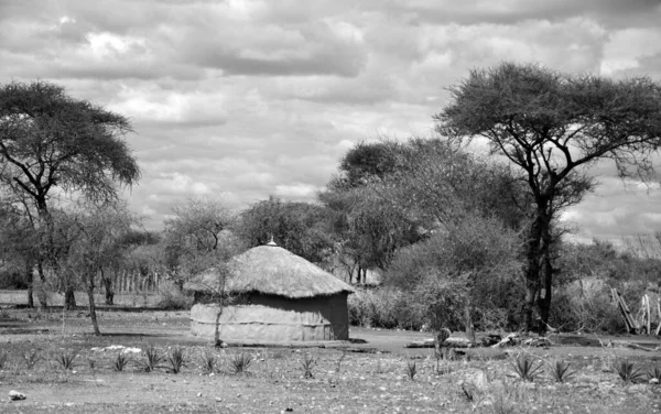Amboseli Kenya 2011 Masai Village Tanzania Many Maasai Tribes Throughout — ストック写真