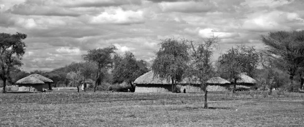 AMBOSELI KENYA 10 13 2011: Masai village Tanzania: Many Maasai tribes throughout Tanzania and Kenya welcome visits to their village to experience their culture, traditions, and lifestyle.