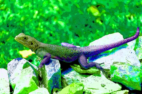 Lizard Rock Sign Illustration Pop Art Background Icon Color Spots — Stockfoto