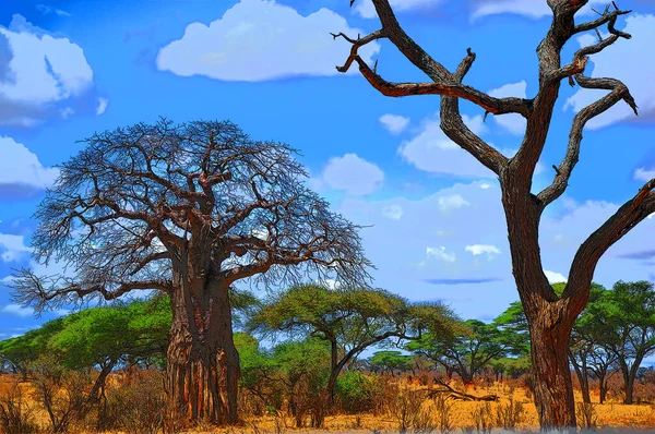 Baobab Boaboa Şişe Ağacı Ters Dönmüş Ağaç Tarangire Ulusal Parkı — Stok fotoğraf