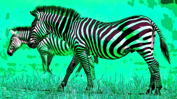 Zebra Teken Illustratie Pop Art Achtergrond Pictogram Met Kleurvlekken — Stockfoto