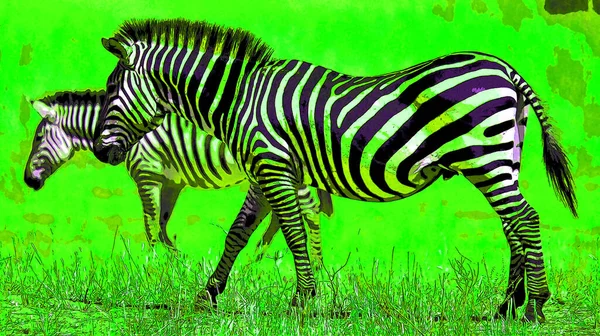 Zebras Σημάδι Εικονογράφηση Pop Art Εικονίδιο Φόντου Κηλίδες Χρώματος — Φωτογραφία Αρχείου