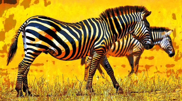 Zebras Unterzeichnen Illustration Pop Art Hintergrund Symbol Mit Farbflecken — Stockfoto