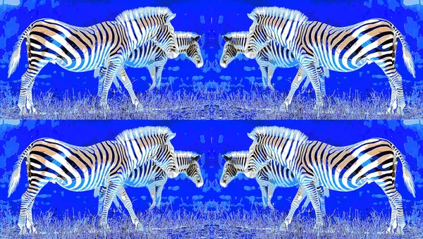 Zebras Unterzeichnen Illustration Pop Art Hintergrund Symbol Mit Farbflecken — Stockfoto