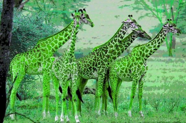 Giraffes Illustration Pop Art Background Icon Color Spots — Stockfoto