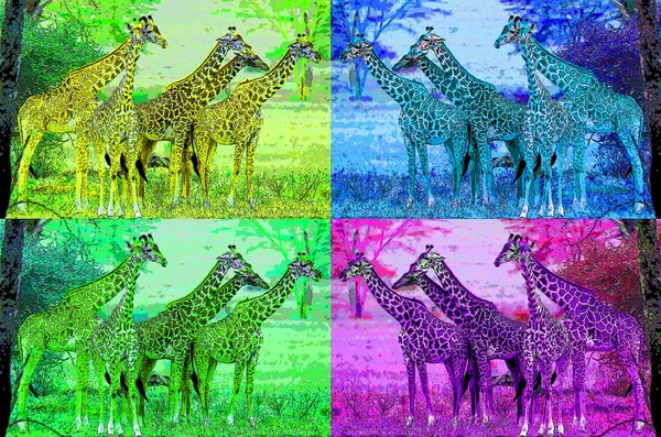 Giraffes Illustration Pop Art Background Icon Color Spots — Photo