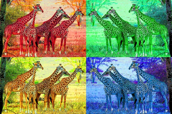 Giraffes illustration pop-art background icon with color spots