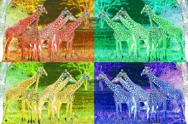 Giraffes Illustration Pop Art Background Icon Color Spots — Stockfoto