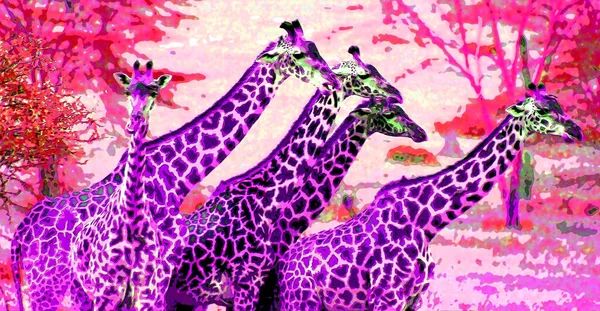 Giraffes Illustration Pop Art Background Icon Color Spots — стоковое фото