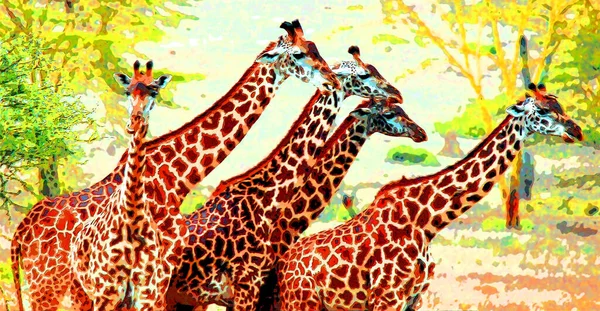 Giraffes Illustration Pop Art Background Icon Color Spots — Stock Photo, Image