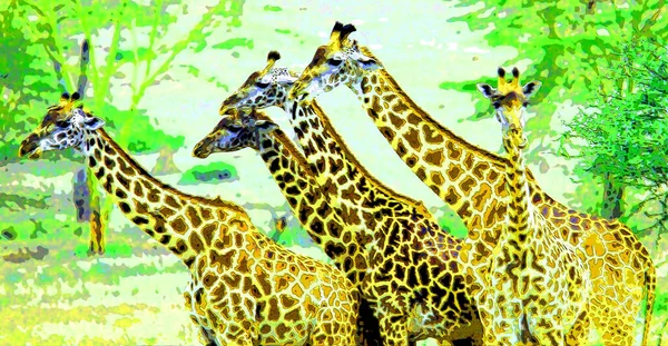 Giraffes Illustration Pop Art Background Icon Color Spots — Fotografia de Stock