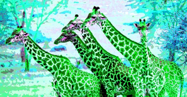 Giraffes Illustration Pop Art Background Icon Color Spots — стоковое фото