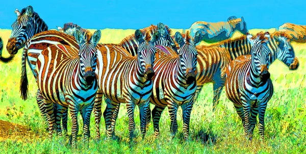 Zebre Segno Illustrazione Pop Art Icona Sfondo Con Macchie Colore — Foto Stock