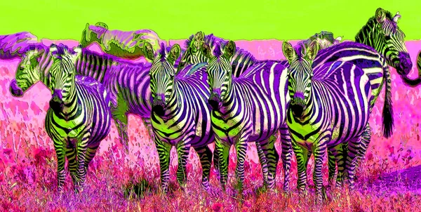 Zebras Sign Illustration Pop Art Background Icon Color Spots — 스톡 사진