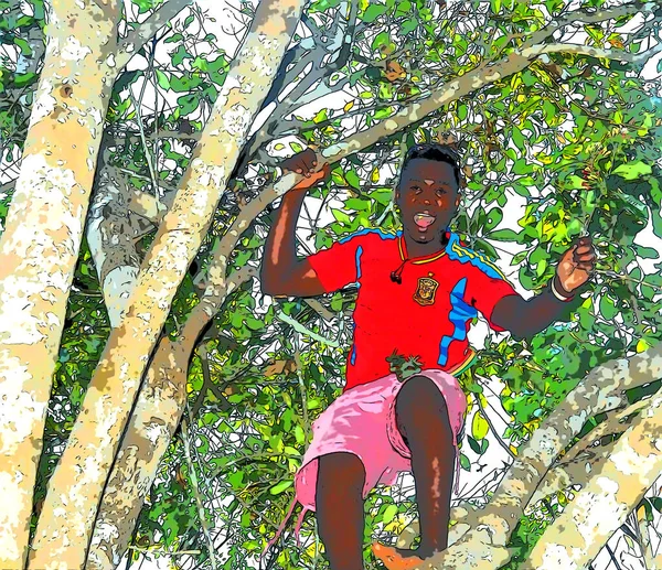 Zanzibar Island Tanzania 2011 Palm Tree Coconuts Climber Sign Illustration — Stockfoto